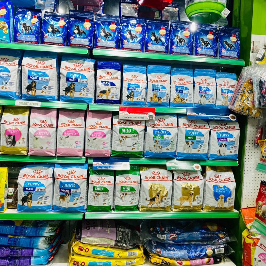 Wall of Royal Canin food at Bowmeow Kozhikode